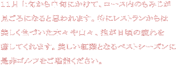 １１月上旬から中旬にかけて、コース内のもみじが見ごろになると思われます。 特にレストランからは美しく色づいた木々や山々、池が日頃の疲れを癒してくれます。 美しい紅葉となるベストシーズンに、是非ゴルフをご堪能ください。